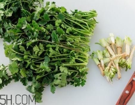 香菜根煮水能退燒嗎？香菜根煮水能治咳嗽嗎？