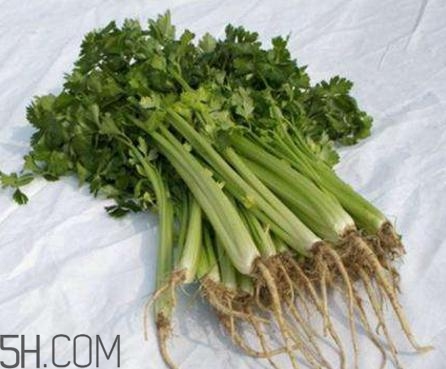 香菜根煮水能退燒嗎？香菜根煮水能治咳嗽嗎？