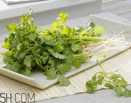香菜根煮水能治濕疹嗎？香菜根煮水孕婦能喝嗎？
