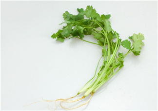 香菜根煮水能治濕疹嗎？香菜根煮水孕婦能喝嗎？