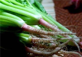 香菜根煮水能美白嗎？香菜根煮水能祛斑嗎？