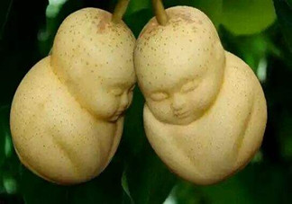 女人吃人參果有哪些好處？人參果的營(yíng)養(yǎng)價(jià)值是什么？