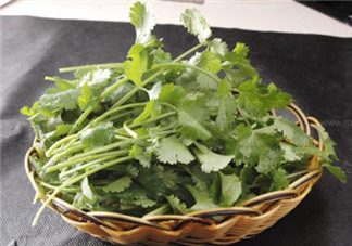 香菜根煮水能減肥嗎？香菜根煮水能天天喝嗎？