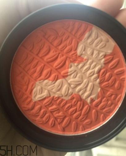 瑪麗黛佳腮紅怎么打？瑪麗黛佳腮紅怎么用？
