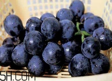 吃黑加侖對眼睛有什么好處？吃黑加侖要注意什么？