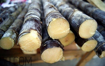 甘蔗和橙子能一起吃嗎？吃完甘蔗可以吃橙子嗎？