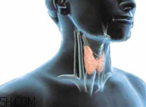 甲狀腺腫大和甲亢的區(qū)別有哪些？甲狀腺腫大適合吃什么食物？