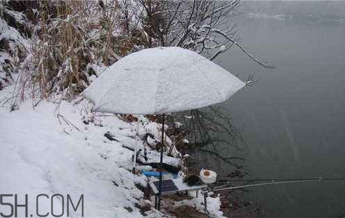 下雪天能釣魚(yú)嗎 下雪天好釣魚(yú)嗎
