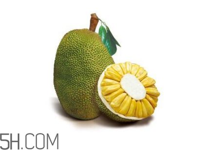 為什么吃菠蘿蜜拉肚子？吃菠蘿蜜拉肚子怎么辦？