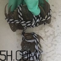 冬天可以吃大閘蟹嗎？冬天怎么吃大閘蟹？