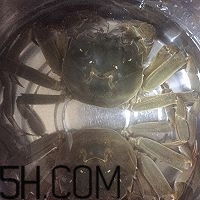 冬天可以吃大閘蟹嗎？冬天怎么吃大閘蟹？