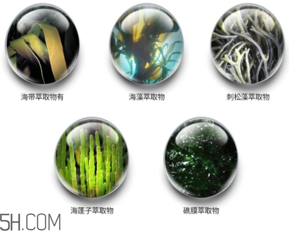 jmsolution珍珠面膜怎么用？jm珍珠珍珠面膜分為三部曲