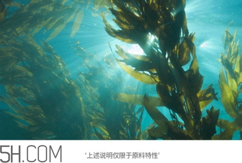 jmsolution珍珠面膜多少錢(qián)？jm珍珠面膜好用不過(guò)百元