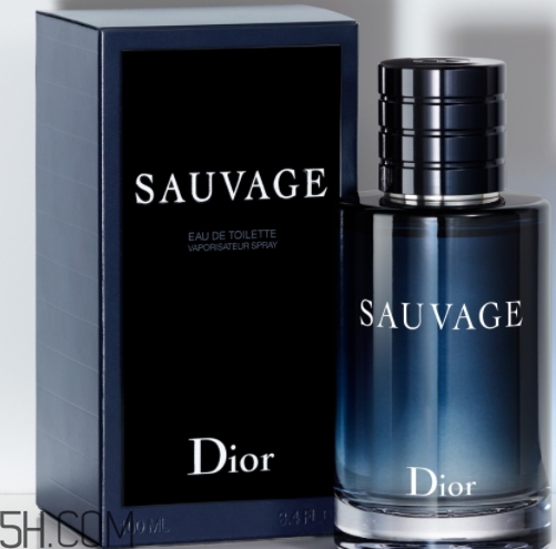 dior迪奧曠野男士淡香水好聞嗎？頻頻斷貨的魅力香水