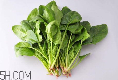 羊肉和菠菜能一起吃嗎？吃羊肉能吃菠菜嗎？