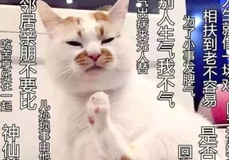 佛系妝是什么妝？佛系妝容輕松打造