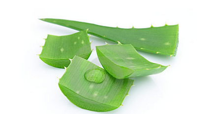 蘆薈膠怎么去紅血絲？蘆薈膠正確使用順序