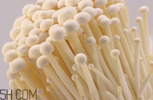 金針菇的食用禁忌有哪些？金針菇四大禁忌