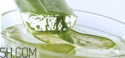 擠痘痘后可以涂蘆薈膠嗎？涂抹維生素e和蘆薈膠的作用