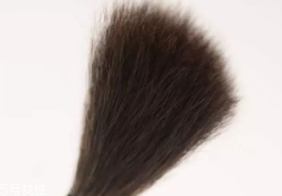 高光刷哪個牌子好？好用到哭的高光刷