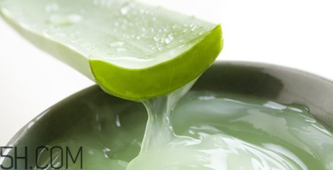 蘆薈膠吃了會怎樣？蘆薈膠的吃法