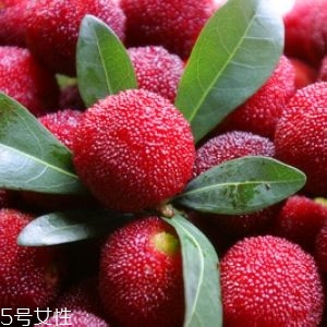 新鮮楊梅如何做酸梅湯？楊梅湯兩做法