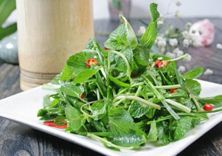哪些中草藥可以當(dāng)菜吃？最常見的是這三種