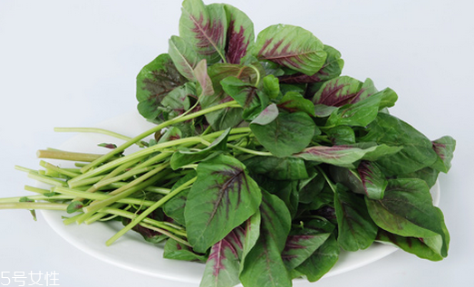 吃莧菜可以減肥嗎？減肥食物熱量排行榜