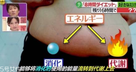 青汁一天喝幾袋最減肥？日本瘋傳的減肥飲食大法
