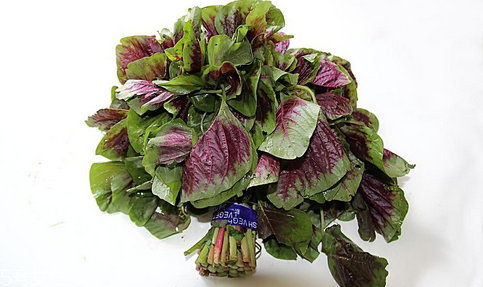 吃莧菜可以減肥嗎？減肥食物熱量排行榜