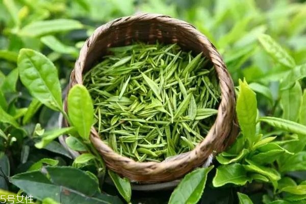 晚上餓了吃什么不長胖？全球公認最強減肥食物