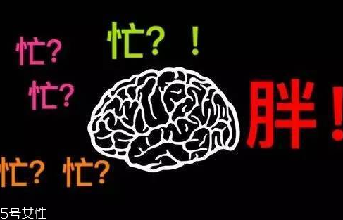 久坐不動(dòng)上班族如何減肥？越努力工作的人越容易發(fā)胖