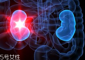 腎病為什么會發(fā)展到尿毒癥？這些因素一定要注意