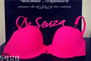 la senza是什么牌子？來自加拿大的頂尖內(nèi)衣