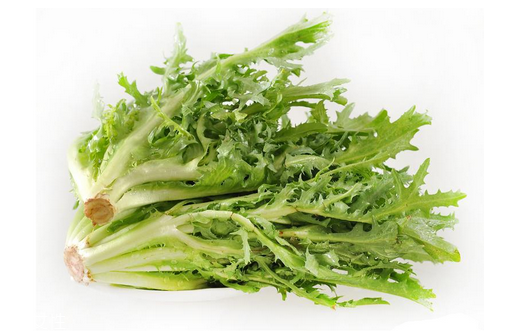 苦菊小孩能吃嗎？小孩吃苦菊促進(jìn)腦部發(fā)育