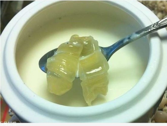 花膠燉牛奶的功效與作用？保養(yǎng)皮膚效果好