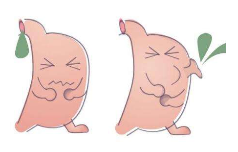 嘔酸水怎么辦？多補充堿性食物
