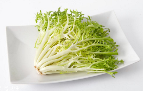 苦菊能減肥嗎？苦菊的各式做法