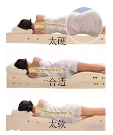 床越軟越好嗎？軟床導致駝背