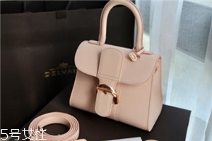delvaux是哪個(gè)國(guó)家的？皇家專寵奢侈品牌