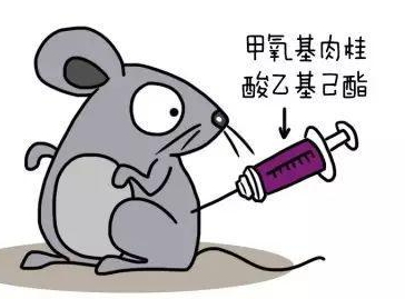 自然堂隔離霜孕婦可以用嗎？含有孕婦禁用成分