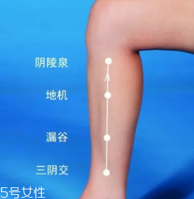 濕疹怎么治才管用？內外同治是關鍵
