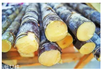 甘蔗的吃法有什么不同？吃法不同療效不同