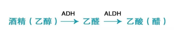喝酒致癌的真相是什么？乙醛致癌太可怕