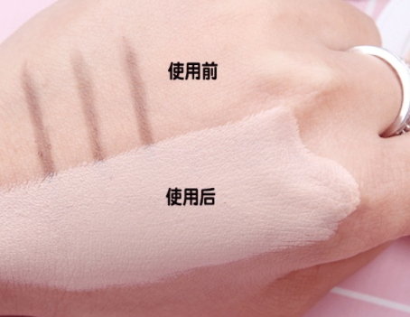 perfect skin雪花磁石氣墊有替換裝嗎？