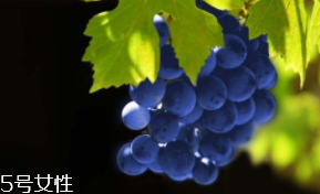 葡萄籽補(bǔ)劑要不要買？不如早睡早起