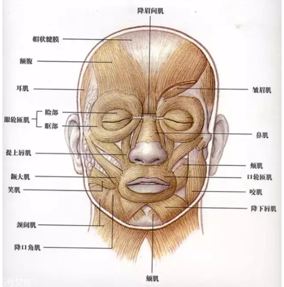法令紋怎么去除？最有效的方法是醫(yī)美