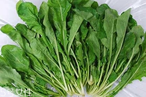薺菜包餃子需要焯水嗎？小心有苦澀的味道