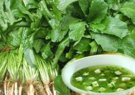薺菜包餃子需要焯水嗎？小心有苦澀的味道