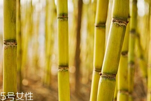吃甘蔗臉會(huì)變大嗎？原來(lái)還有這么一說(shuō)